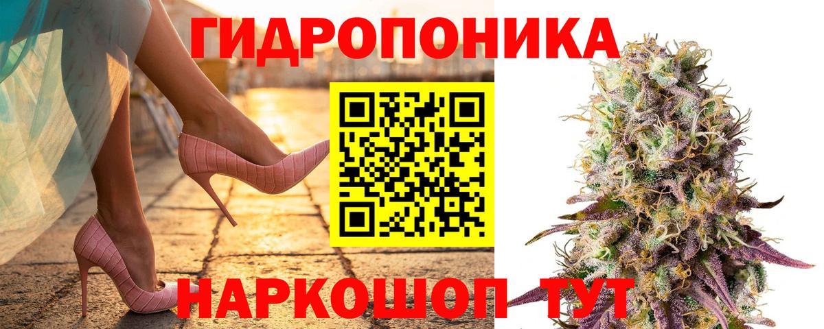 Бошки Шишки гибрид  Вход с VPN  Бошки Шишки план  МАРИХУАНА конопля  Волгодонск  Шишки марихуана AK-47 